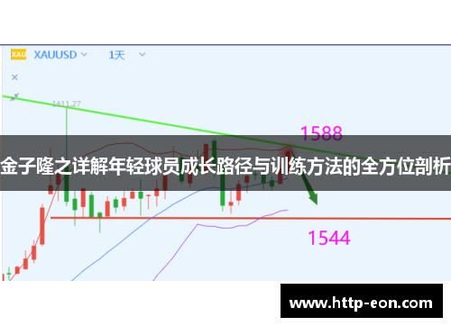 金子隆之详解年轻球员成长路径与训练方法的全方位剖析